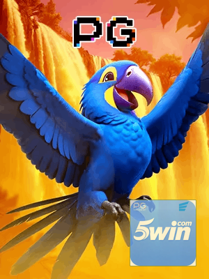 5WIN1 bônus — cashback 15 por cento e níveis VIP